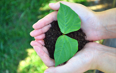 ������ʱ�������ǲ���(�й���)�ٷ���վ