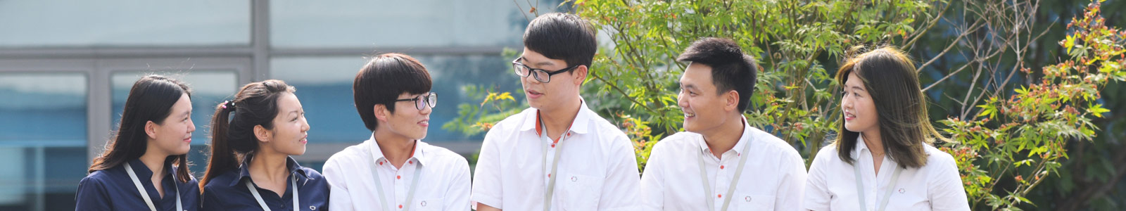 �˲�����