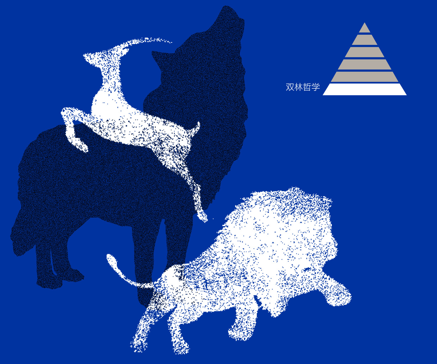 ʨ�ӡ��������